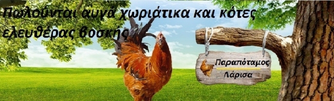 Μπλογκ - Kotesauga.blogspot.gr