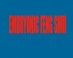 embryonic-fengshui.com